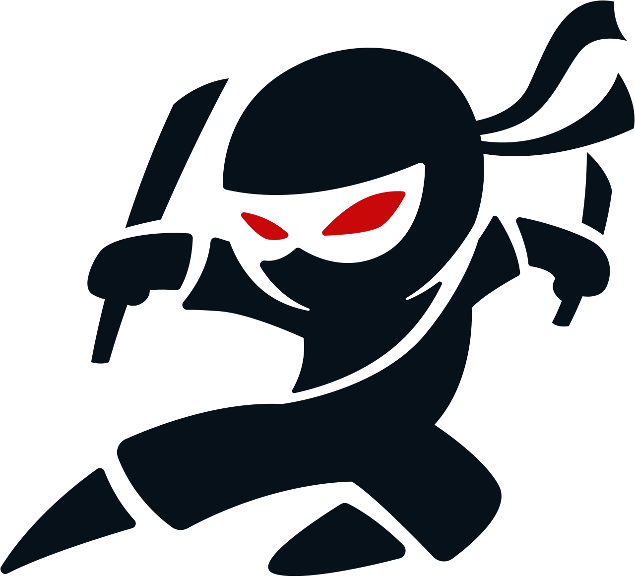 Social Ninja Logo